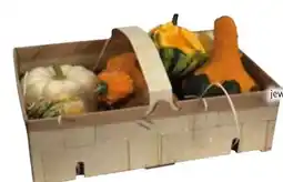 Edeka Dekorative Zierkürbisse Angebot