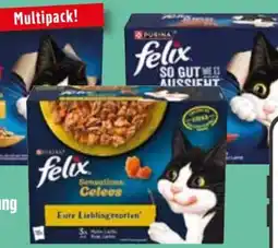 Edeka Purina Felix Katzentrockennahrung Angebot