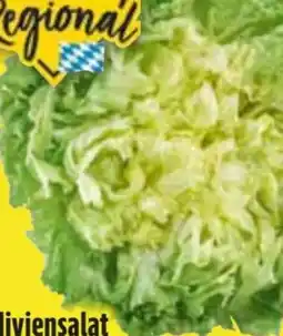 Edeka Endiviensalat Angebot