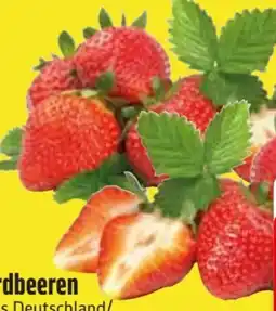 Edeka Erdbeeren Angebot