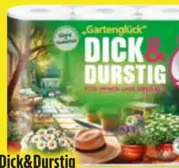 Edeka Dick&Durstig Küchentücher Angebot