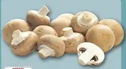 REWE Center Rewe Regional Champignons Angebot