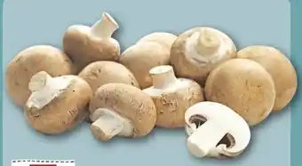 REWE Center Rewe Regional Champignons Angebot