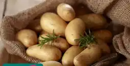 REWE Center Rewe Beste Wahl Speisekartoffeln Die Feinen Angebot
