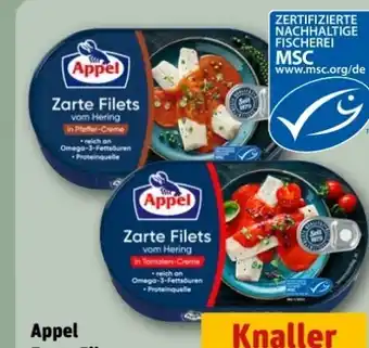 REWE Center Appel Hering Zarte Filets Angebot