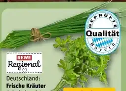 REWE Center Rewe Regional Kräuter Schnittlauch Angebot