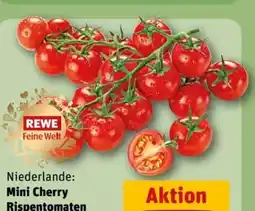 REWE Center Rewe Feine Welt Mini Cherry Rispentomaten Angebot