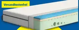 Lidl Emma Kaltschaummatratze One Angebot