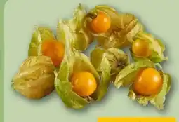 REWE Center Physalis Angebot