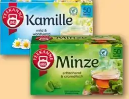 REWE Center Teekanne Kräutertee Minze Angebot