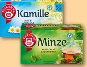 REWE Center Teekanne Kräutertee Minze Angebot