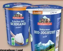 REWE Center Berchtesgadener Land Bio Schmand Angebot