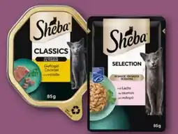 REWE Center Sheba Katzennahrung Angebot