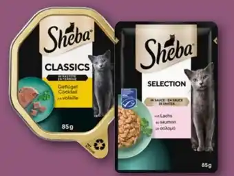 REWE Center Sheba Katzennahrung Angebot