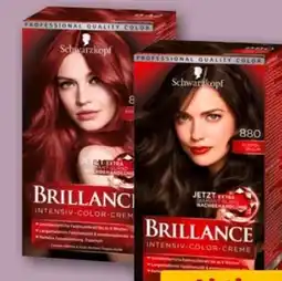 REWE Center Schwarzkopf Brillance Intensiv-Color Creme Angebot
