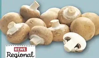REWE Rewe Regional Braune Champignons Angebot