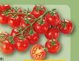 REWE Rewe Feine Welt Mini Cherry Rispentomaten Süße Versuchung Angebot