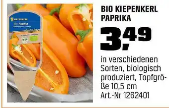 OBI Bio Kiepenkerl Paprika Angebot