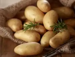 REWE Rewe Beste Wahl Speisekartoffeln Die Feinen Angebot
