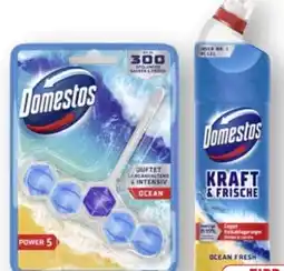 Edeka Domestos WC Steine Power 5 Angebot