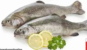 Edeka Regenbogenforellen Angebot