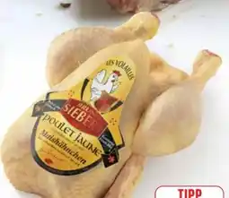 Edeka Les Volailles Bruno Siebert Maishähnchen Angebot