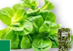 Edeka Unsere Heimat Echt & Gut Bio-Feldsalat Angebot