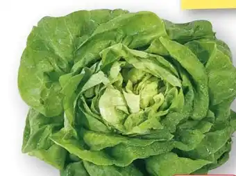 Edeka Unsere Heimat Echt & Gut Kopfsalat Angebot