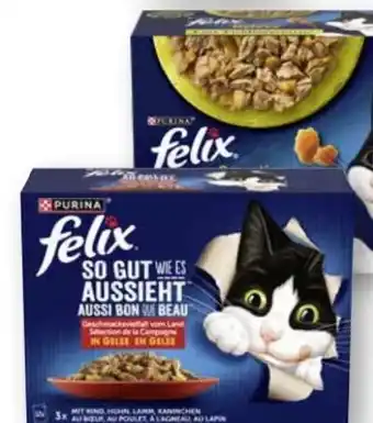 Edeka Purina Felix Katzennahrung Angebot