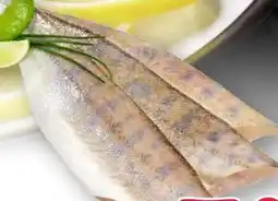 Scheck-in-Center Zanderfilets Angebot