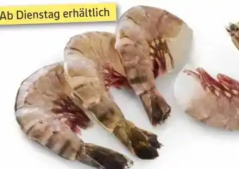 Edeka Seawater Black Tiger Gambas Angebot