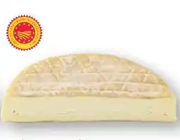 Scheck-in-Center Käserei Germain Epoisses Angebot