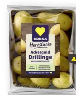 Scheck-in-Center Edeka Speisekartoffeln Festkochend Drillinge Angebot
