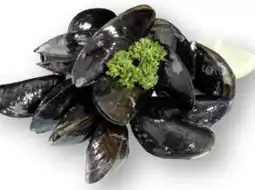 Scheck-in-Center Premium Nordsee Muscheln Angebot