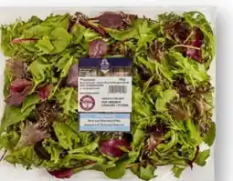 Scheck-in-Center Unsere Heimat Pflücksalat Angebot