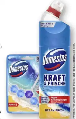 Scheck-in-Center Domestos WC Steine Power 5 Angebot