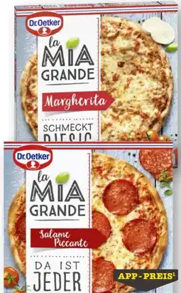 Scheck-in-Center Dr. Oetker Pizza la Mia Grande Salame Piccante Angebot
