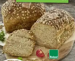 Scheck-in-Center Markt Bäckerei Saatenbrot Angebot