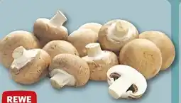 REWE Center Rewe Beste Wahl Braune Champignons Angebot