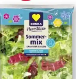 Scheck-in-Center Edeka Herzstücke Sommermix Angebot