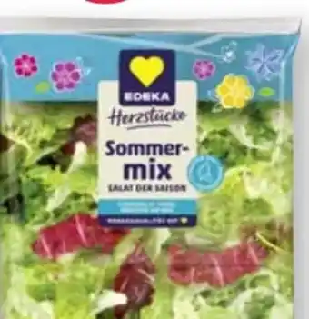 Scheck-in-Center Edeka Herzstücke Sommermix Angebot