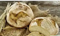 Scheck-in-Center Scheck-in Bäckerei Bio Dinkelbrot Angebot