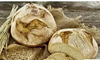 Scheck-in-Center Scheck-in Bäckerei Bio Dinkelbrot Angebot