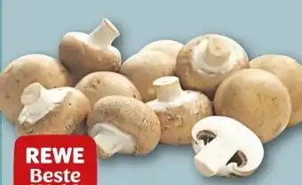 REWE Rewe Beste Wahl Braune Champignons Angebot