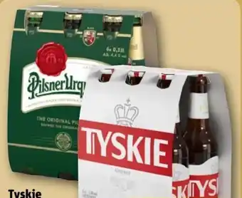 REWE Tyskie Pils Angebot