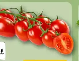 REWE Rewe Regional Mini Roma Rispentomaten Aromatica Angebot