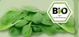 REWE Rewe Bio Baby Spinat Angebot