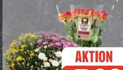 Edeka Frischemarkt Edeka Herzstücke Rosen Angebot