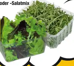 EDEKA Bandelt Edeka Bio Rucola Angebot