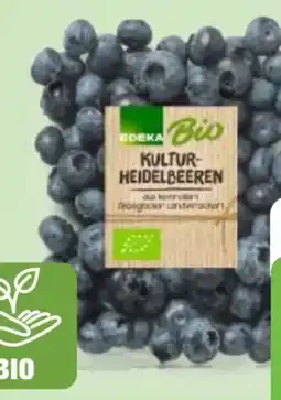 Edeka Edeka Bio Bio-Kulturheidelbeeren Angebot